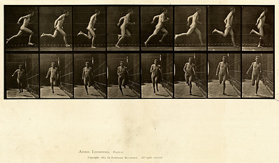 19 - Vol 1 - Plate 67
